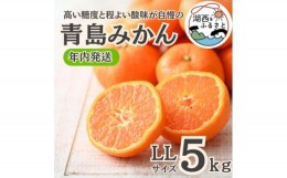 【ふるさと納税】＜年内発送＞＜12月より順次出荷予定＞青島みかん約5kg LLサイズ〔鈴木農園〕【1510094】