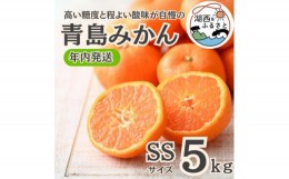 【ふるさと納税】＜年内発送＞＜12月より順次出荷予定＞青島みかん約5kg SSサイズ〔鈴木農園〕【1510102】