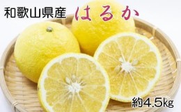 【ふるさと納税】【さわやか柑橘】和歌山県産はるかみかん約4.5kg（サイズ混合　秀品）★2025年2月下旬頃より順次発送【TM162】