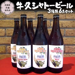 【ふるさと納税】牛久シャトービール3種類6本セット（茨城県共通返礼品 牛久市） 地ビール クラフトビール お酒 飲み比べ 詰め合わせ セ