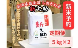 【ふるさと納税】【新米予約・定期便】　南魚沼しおざわ産　新之助　10kg×１２カ月