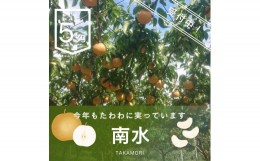 【ふるさと納税】【南信州高森産】梨(南水)5kg ＜9月下旬より順次発送＞