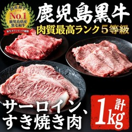 【ふるさと納税】E-301 肉質最高ランク5等級 鹿児島黒牛サーロインステーキ・すき焼き肉(計約1kg)国産 九州産 鹿児島産 国産牛 牛肉 5等