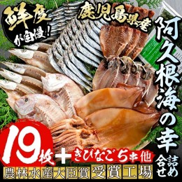 【ふるさと納税】鹿児島県産！干物詰め合わせ＜8種＞国産 九州産 鹿児島産 干物 ひもの 乾物　鯛 タイ 鯵 アジ かます いか きびなご ウ