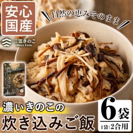 【ふるさと納税】国産のえのきやきのこ使用！濃いきのこの炊き込みご飯の素(2合用×6個)国産 だし醤油 きのこご飯 椎茸 しいたけ【三笠え