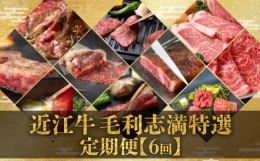 【ふるさと納税】【 定期便 】 近江牛 食べ比べ 全6回 焼肉 すき焼き しゃぶしゃぶ サーロイン ステーキ 赤身 霜降り （ 定期便 肉 黒毛