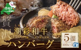 【ふるさと納税】野付産【潮彩和牛】ハンバーグ100g×5個【be019-0859】