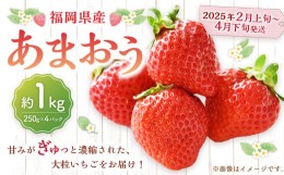 【ふるさと納税】福岡県産 あまおう 1000g（250g × 4パック） 苺 イチゴ いちご 大粒 果物 フルーツ 福岡 福岡県 【2025年2月上旬〜4月