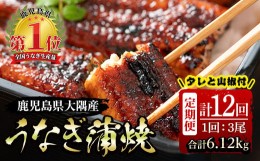 【ふるさと納税】2484 【定期便12回】大隅特産うなぎ蒲焼３尾（510g）【国産】