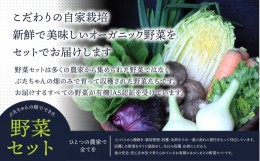 【ふるさと納税】【定期便/年12回/毎月お届け】有機JAS認証 旬の野菜セット 8品【ぶたちゃんの畑】_HB0162