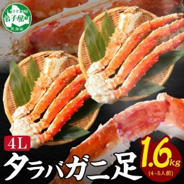 【ふるさと納税】1735. ボイルタラバガニ足 800g×2 1.6kg 食べ方ガイド・専用ハサミ付 カニ 蟹 タラバ たらば タラバガニ 送料無料 北海