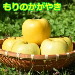 【ふるさと納税】希少！りんご【もりのかがやき】10〜18玉（約5kg）【2024年産・先行予約】