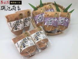 【ふるさと納税】塩辛 昭和の塩辛 100g×4袋 真イカの肝醤油造り 100g×4袋 珍味 詰め合わせ エコパック セット （計8袋） いか イカ い