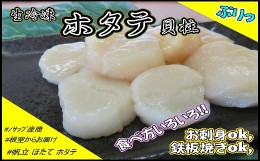 【ふるさと納税】A-59007 生冷凍ホタテ貝柱800g×1P