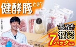 【ふるさと納税】北海道産 健酵豚 お楽しみ 加工品 あり 福袋 7パック以上