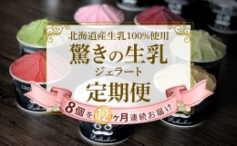 【ふるさと納税】＜12ヶ月定期便＞北海道産 生乳 ジェラート アイス 毎月8個  詰め合わせ ジェラートセット