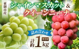 【ふるさと納税】東御市産シャインマスカット＆クイーンニーナのセット｜長野県 長野 人気 ぶどう 贈答用 ギフト ２房 フルーツ 果物 お