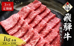 【ふるさと納税】【定期便3ヶ月】牛肉 飛騨牛 焼き肉 セット 赤身 モモ 又は カタ 1kg 黒毛和牛 Ａ5 美味しい お肉 牛 肉 和牛 焼肉 BBQ 