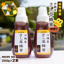 【ふるさと納税】純粋蜂蜜　沖縄産　さし草蜂蜜　秋採り　250g×2本　南風原町採取