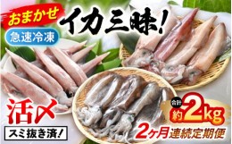 【ふるさと納税】おまかせ定期便 《2ヶ月連続お届け》 計約2kg イカ 三昧！ その時期の一番良いイカをお届けします 急速冷凍 活〆 刺身 