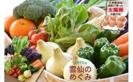 【ふるさと納税】”雲仙のめぐみ”旬の野菜セット（Ｓ）【太陽卵6個付き】 8〜10品目セット [長崎県農産品流通合同会社 長崎県 雲仙市 ？