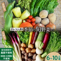 【ふるさと納税】季節の旬野菜セット 6〜10品種 詰め合わせ 産地直送 / 雲仙つむら農園 / 長崎県雲仙市