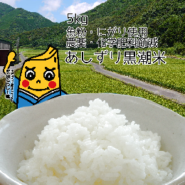 【ふるさと納税】令和5年産 あしずり黒潮米5kg（コシヒカリ）精米 白米 ブランド米 ご飯【R00193】