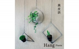 【ふるさと納税】GRAVIRoN Hang Plants シリーズ Triangle/Diamond/Round セット 黒皮鉄（プランツハンガー）