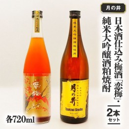 【ふるさと納税】日本酒 仕込 梅酒 恋梅720ml 純米大吟醸 酒粕 焼酎 720ml 2本 セット 酒粕焼酎 国産梅 月の井 大洗 地酒 茨城