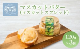 【ふるさと納税】マスカット バター （ マスカット スプレッド ）120g×3個 乳製品 果物 ぶどう フルーツ