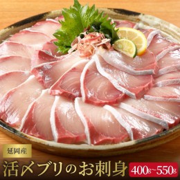 【ふるさと納税】【日向灘どれ】延岡産活〆ブリのお刺身　400g〜550g　請関水産　N019-ZA044