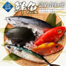 【ふるさと納税】【3回定期便】季節の鮮魚 おまかせお楽しみセット（ゴールドコース）天然魚 食べ比べ 魚介類 海鮮料理【J00047】