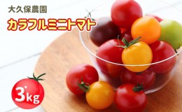 【ふるさと納税】大久保農園の☆新鮮☆カラフルミニトマト詰合せ3kg
