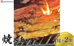 【ふるさと納税】焼き方・タレにこだわった焼きあなご4尾×2串（370g前後）【播州 焼き穴子 焼きアナゴ 海鮮 お取り寄せ ギフト 人気】