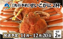 【ふるさと納税】【先行予約】せいこがに 2杯【2024年11月〜12月20日発送予定】