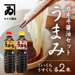 【ふるさと納税】H-88 【明治2年創業 カネヰ醤油】風味醤油「うまみ」こいくち・うすくち各500ml×2本セット