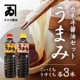 【ふるさと納税】G-54 【明治2年創業 カネヰ醤油】風味醤油「うまみ」こいくち・うすくち各500ml×3本セット