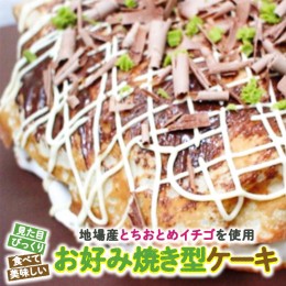 【ふるさと納税】お好み焼き型ケーキ[AT002ci]