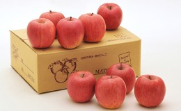 【ふるさと納税】信州小諸 松井農園のシナノスイート 約3.5kg 果物類・林檎・りんご・リンゴ