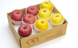 【ふるさと納税】信州小諸　松井農園のサンふじ・シナノゴールド詰合せ　約3.5kg 果物類・林檎・りんご・リンゴ