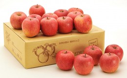 【ふるさと納税】信州小諸　松井農園の秋映　約5kg 果物類・林檎・りんご・リンゴ