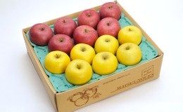 【ふるさと納税】信州小諸　松井農園のサンふじ・シナノゴールド詰合せ　約5kg 果物類・林檎・りんご・リンゴ