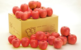 【ふるさと納税】信州小諸　松井農園の秋映　約10kg 果物類・林檎・りんご・リンゴ