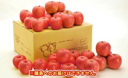 【ふるさと納税】信州小諸　松井農園のサンふじ 約10kg 果物類 林檎 りんご リンゴ