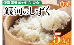 【ふるさと納税】【新米 先行予約】令和6年産 銀河のしずく 5kg (精米) 低農薬栽培米 生産者直送 生産地域限定ブランド米 (EI002)