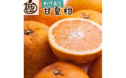 【ふるさと納税】＜4月より発送＞家庭用 甘夏柑5kg+150g（傷み補償分）【初夏のみかん・旬の果物】【有田産】【光センサー食べ頃出荷】【