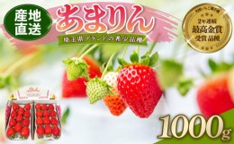 【ふるさと納税】【 予約受付 】 あまりん DXパック 1kg （ 250ｇ × 4P ） 4月発送 いちご 苺 ストロベリー 産地直送 ご当地 果物 くだ