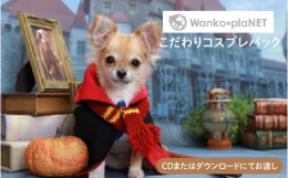 【ふるさと納税】【ペット撮影】わんこ＊ぷらネットこだわりコスプレパック