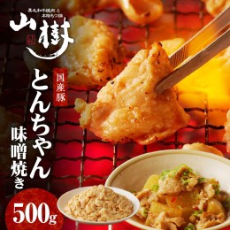 【ふるさと納税】山樹の国産とんちゃん味噌焼き（500g） [047R24]