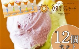 【ふるさと納税】うるまジェラート　12個セット